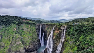 With the soothing sound of waterfalls, it’s such a sweet feeling… this is truly a sweet falls experience.