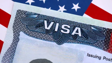Trump cracks down on visas… Nearly 300,000 visas revoked!