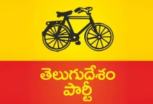What factors are working in the TDP’s favor in the local elections?