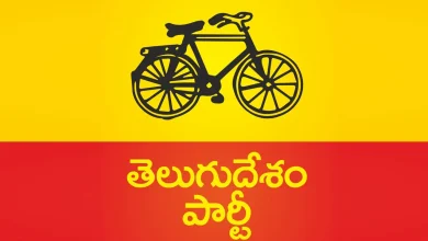 What factors are working in the TDP’s favor in the local elections?